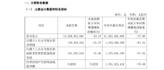 新城控股10月合同销售额仅26亿，同比大减近57%，当月租金收入不如预期引质疑