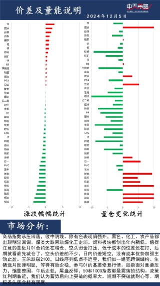 中天策略:12月5日市场分析