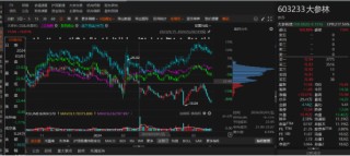 大参林未及时披露重大事项被监管！