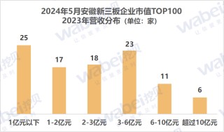 月刊[优益配配资]2024年5月安徽新三板企业市值TOP100：32家企业去年净利润超3000万元
