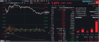 冲高回落，港股互联网波动加剧，如何应对？机构：牛市多急跌