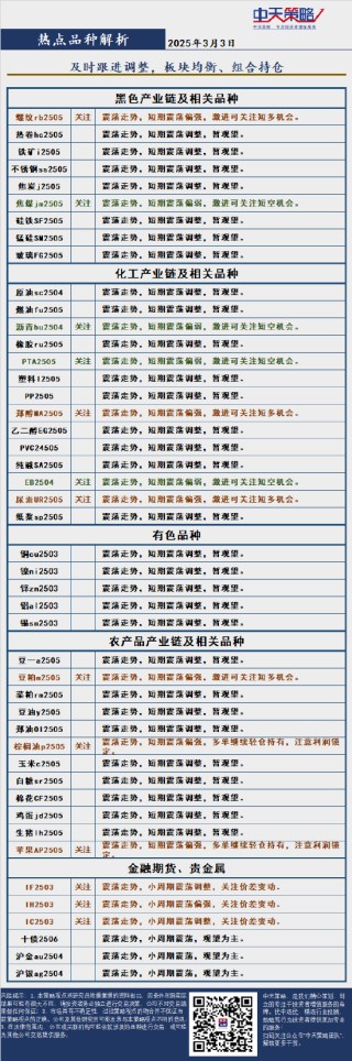 中天策略:3月3日市场分析