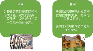 品种上新：原木介绍