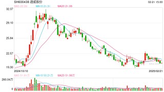技改指向“颗粒硅”？通威股份回应：配套增强棒状硅竞争力，与行业其他技术存实质差异