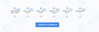 打造“天空之城”！上海低空经济产业发展有限公司成立  国资国企“地方队”齐聚