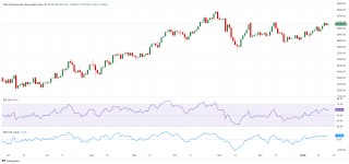 特朗普称可能征收“全球普遍关税”、黄金重大破位！分析师：金价瞄准历史高位