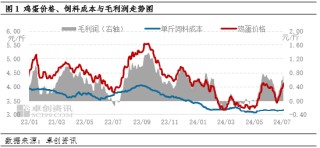鸡蛋：上半年蛋、料双降 养殖盈利同比减少