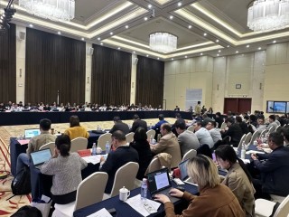 涉及1.1亿人，长三角十四城共商上海大都市圈国土空间总体规划