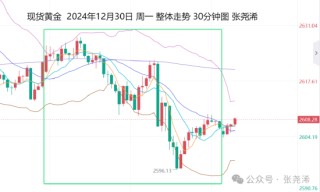 张尧浠:金价偏弱预期加强 年线收官后仍面临走低风险