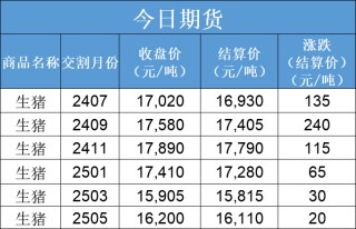 每日猪讯6.26