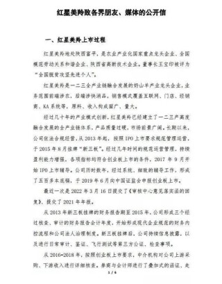 2024最“出圈”IPO：上门按摩、精神病院、P公章、状告交易所……