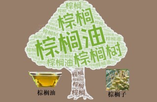 棕榈油期货连涨背后隐藏了什么？揭秘市场波动的奥秘！