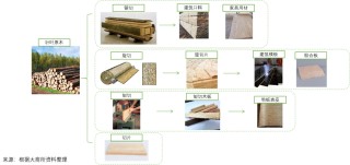 品种上新：原木介绍