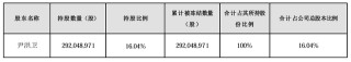 大股东持股遭八次轮候冻结，岭南股份流动性危机何解