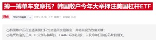 杠杆产品放大特斯拉暴跌冲击，韩国散户投资者遭重创