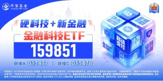 “AI+金融”爆发，金融科技ETF（159851）飙涨超4%逼近历史高点！成份股狂掀涨停潮，宇信科技20CM涨停