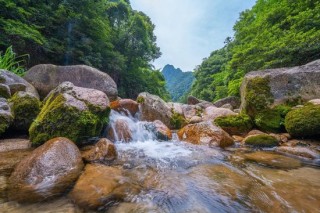 农夫山泉黄山工厂预计将为当地每年创税约1.5亿，并提供约500个就业岗位