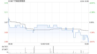 中国旭阳集团向萍乡旭阳能源提供担保