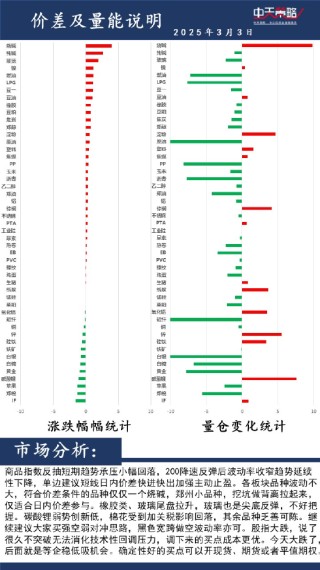 中天策略:3月3日市场分析