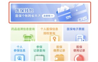 9省份率先上线“医保钱包”，2万亿个账资金跨省共济启动