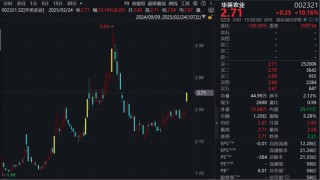 突然异动！1分钟直线涨停，批量封板！