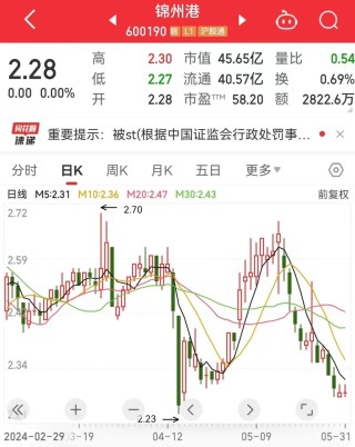 月刊[智财资本]10万股民懵了！86亿元收入竟是假的，上市公司锦州港及时任高管拟被罚2300万，更大的麻烦还在后面