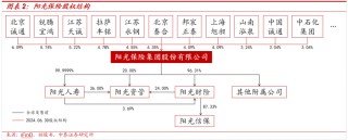 保险深度丨阳光保险首次覆盖深度报告：综合性民营保险集团，保险及投资业务兼具成长及特色【中泰非银·蒋峤/戴志锋】