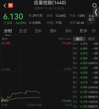 盘中跌超79%！这家港股闪崩引市场震荡，是何原因？