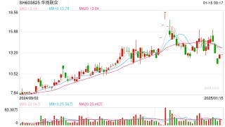 深夜突发！小红书概念股华扬联众被证监会立案！