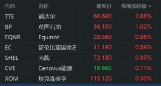 石油股盘前普涨 道达尔涨近3% 国际油价走高