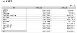 格力博创业板上市当年即变脸，亏损近5亿元
