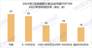 月记[第一资本]2024年5月安徽新三板企业市值TOP100：32家企业去年净利润超3000万元