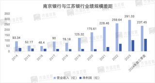 南京银行：业绩回升主靠投资业务，成长性仍然存疑
