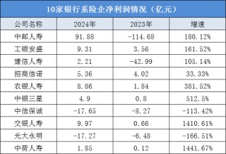8家盈利2家亏损，银行系险企2024年业绩分化显著