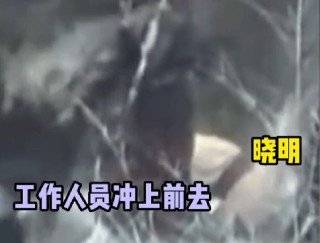 黄晓明曾跳瀑布救刘亦菲，网友：真是过命的交情