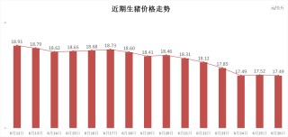 每日猪讯6.26