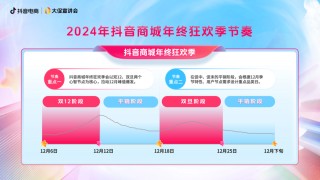 双12复盘：年终大促的生意机会，藏在细分需求里