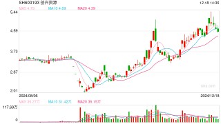 总裁聘任遭董事反对，创兴资源如何化解治理危机
