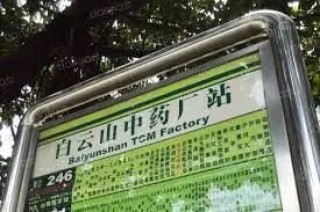 李楚源：十年一觉广药梦