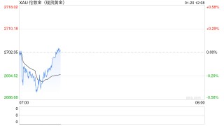 分析师：如果特朗普在就职后将其建议付诸实施，金价可能突破2800美元