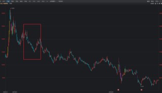 兜兜转转一大圈，“扭亏”重担会压垮海南椰岛吗？