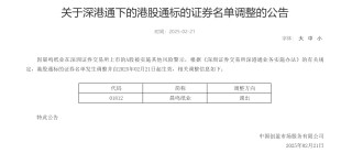 停产、诉讼、质押齐发！晨鸣纸业陷"现金流黑洞" 港股通移除成最后一根稻草？