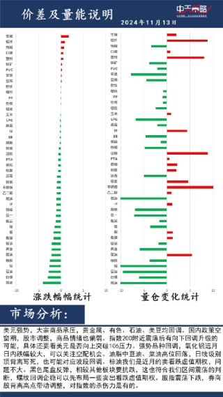 中天策略:11月13日市场分析