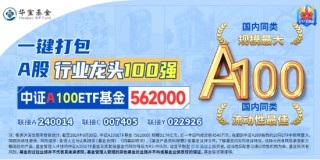 TMT龙头逆市崛起，兆易创新飙升逾8%！规模最大中证A100ETF基金（562000）跑赢大市，彰显韧性！