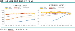 新湖农产（生猪）2025年报：夜深知雪重，时闻折竹声