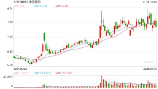 金花股份及多名高管再次挨批 遏制“小错不断”现象亟待监管创新