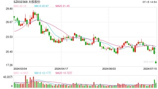 股价跌停 太极股份回应：与上半年业绩预亏有关