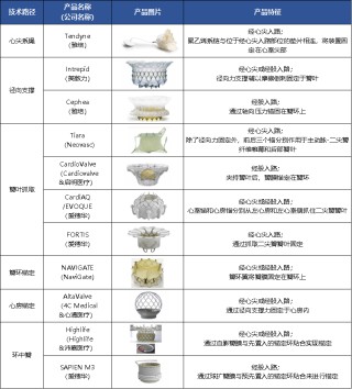 全球最赚钱医疗器械！心脏瓣膜挤入前三