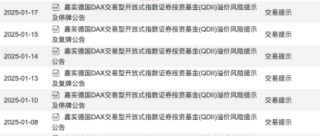 疯狂炒作轮到德国ETF？单日换手率超20倍，1月大涨36%