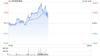 受制于油价等因素 美国油气企业今年可能不急于增产